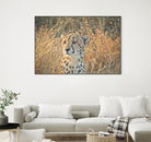 Watching her cubs by Nick Jackson on GIANT ART - black animals