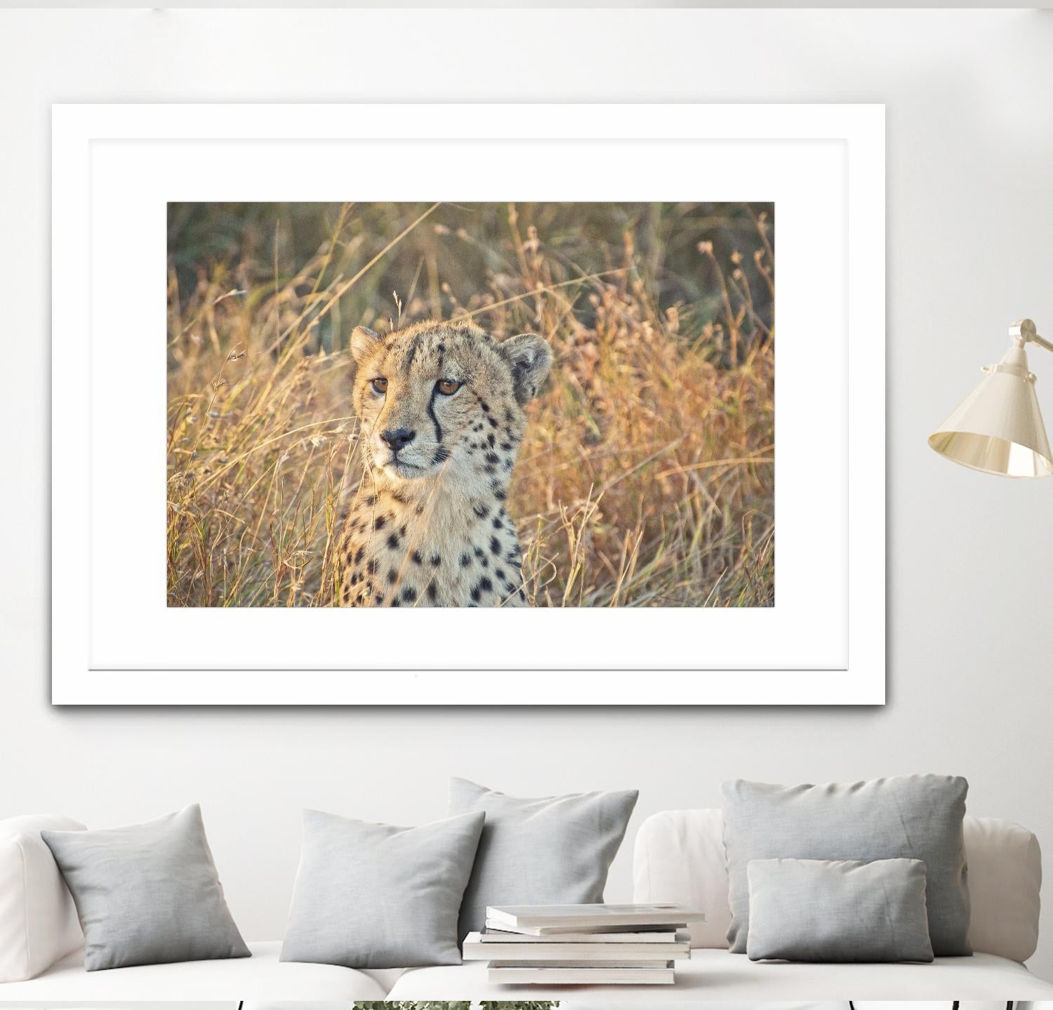 Watching her cubs by Nick Jackson on GIANT ART - black animals