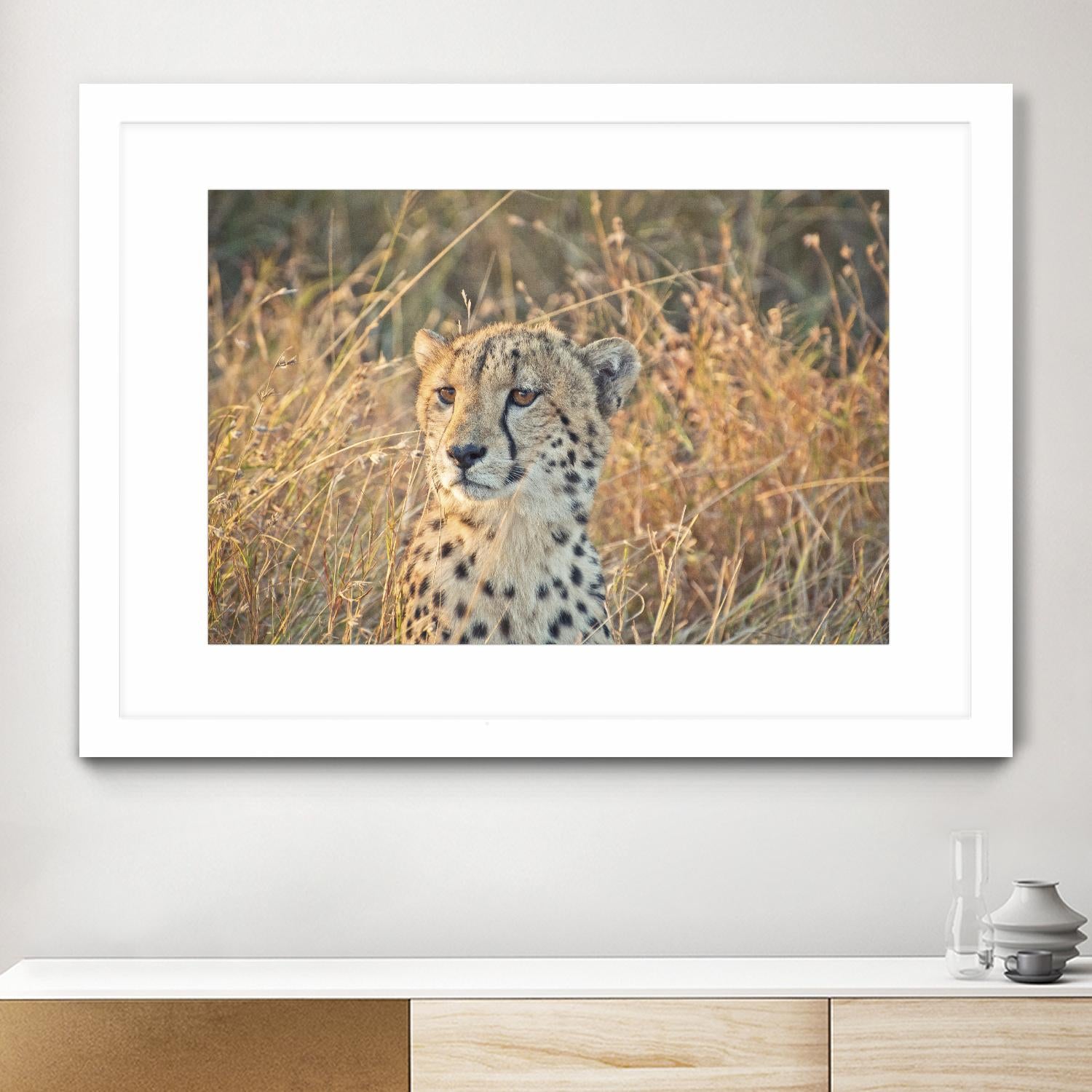 Watching her cubs by Nick Jackson on GIANT ART - black animals