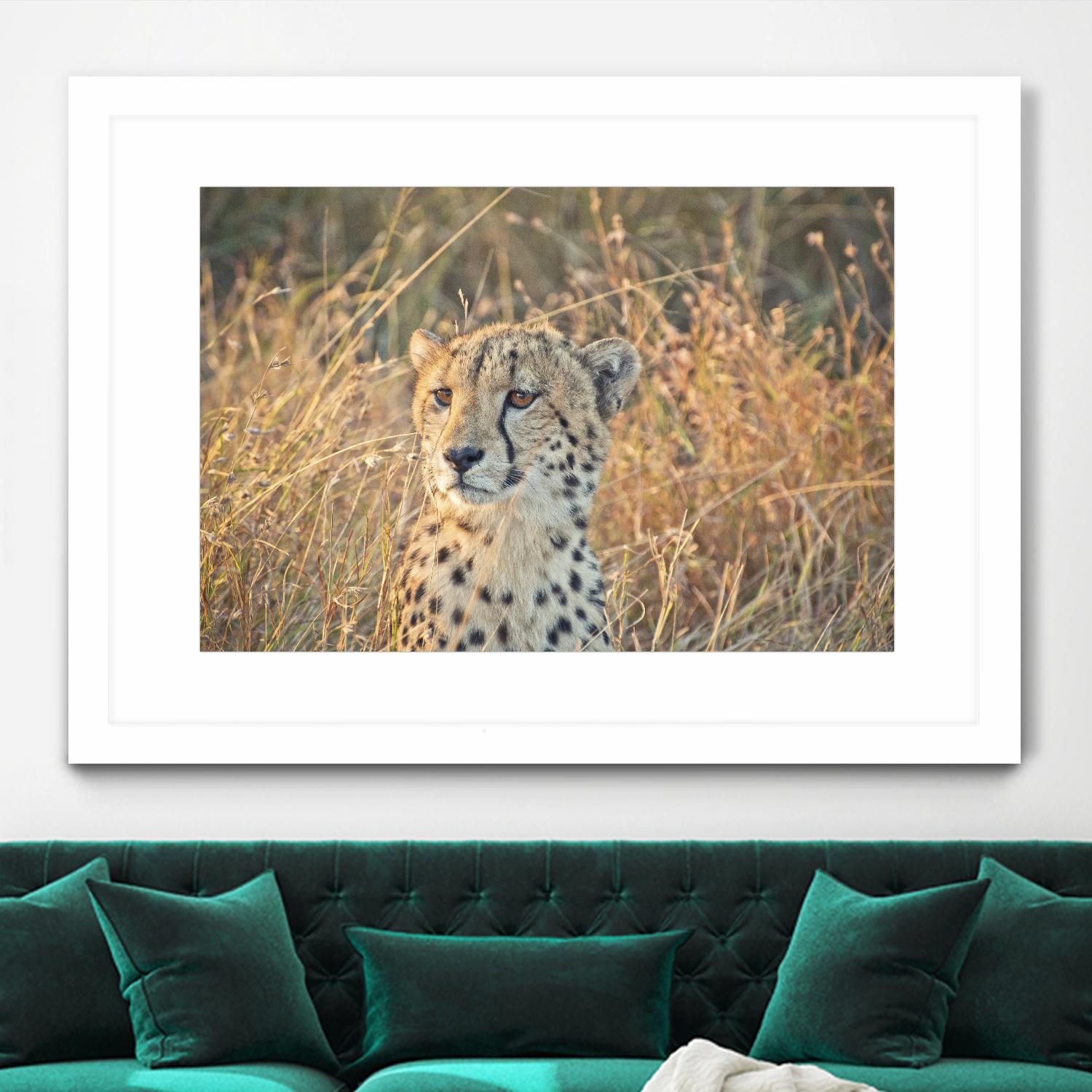 Watching her cubs by Nick Jackson on GIANT ART - black animals