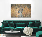 Watching her cubs by Nick Jackson on GIANT ART - black animals
