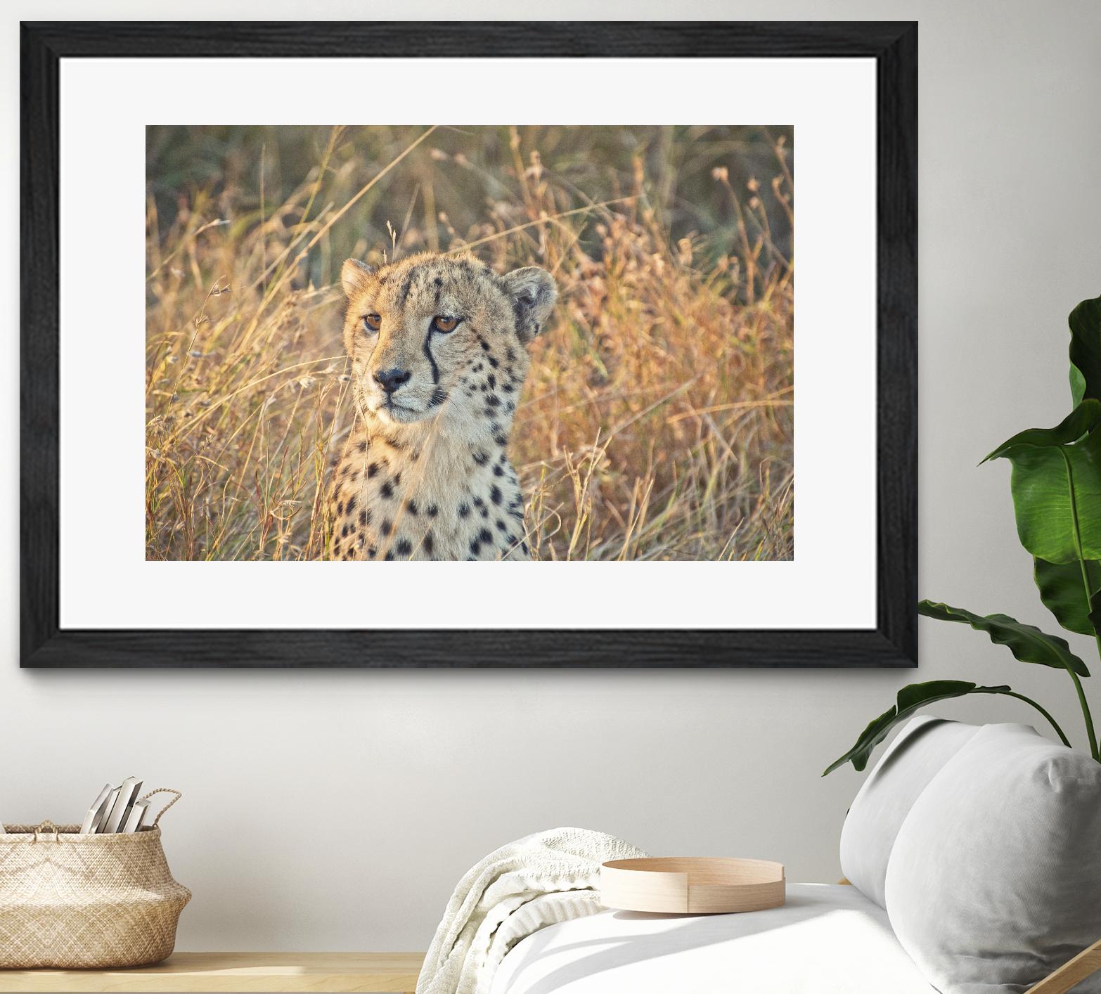 Watching her cubs by Nick Jackson on GIANT ART - black animals