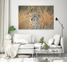 Watching her cubs by Nick Jackson on GIANT ART - black animals