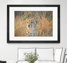 Watching her cubs by Nick Jackson on GIANT ART - black animals