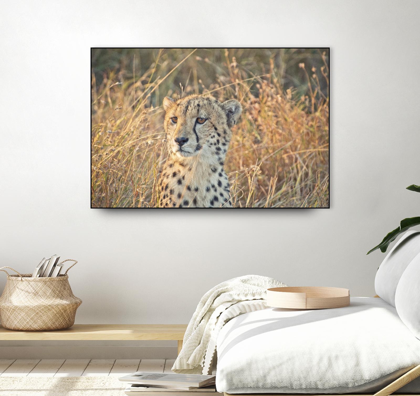 Watching her cubs by Nick Jackson on GIANT ART - black animals