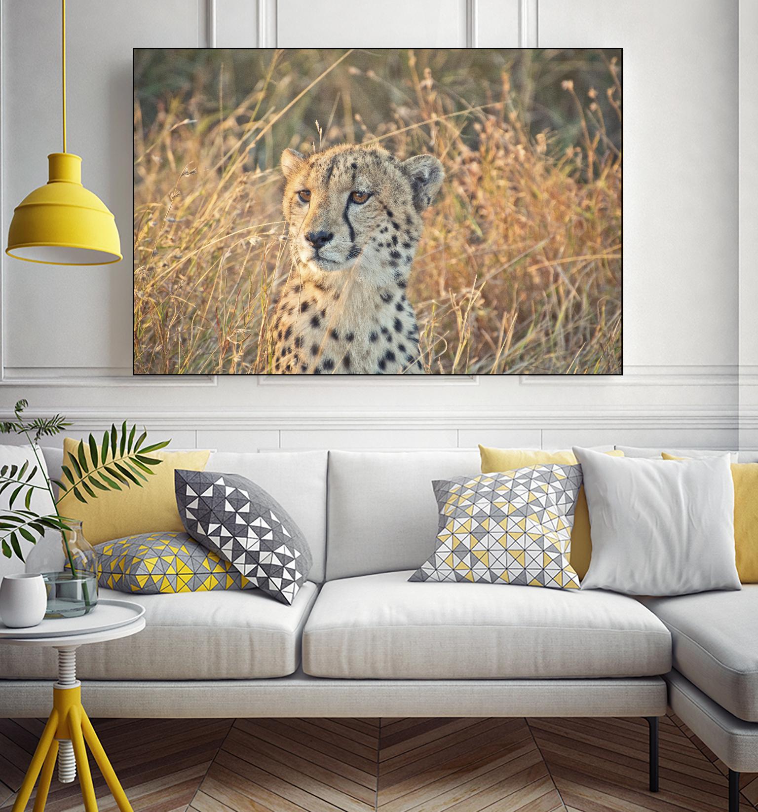 Watching her cubs by Nick Jackson on GIANT ART - black animals