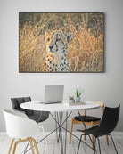 Watching her cubs by Nick Jackson on GIANT ART - black animals