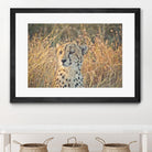 Watching her cubs by Nick Jackson on GIANT ART - black animals