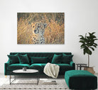 Watching her cubs by Nick Jackson on GIANT ART - black animals