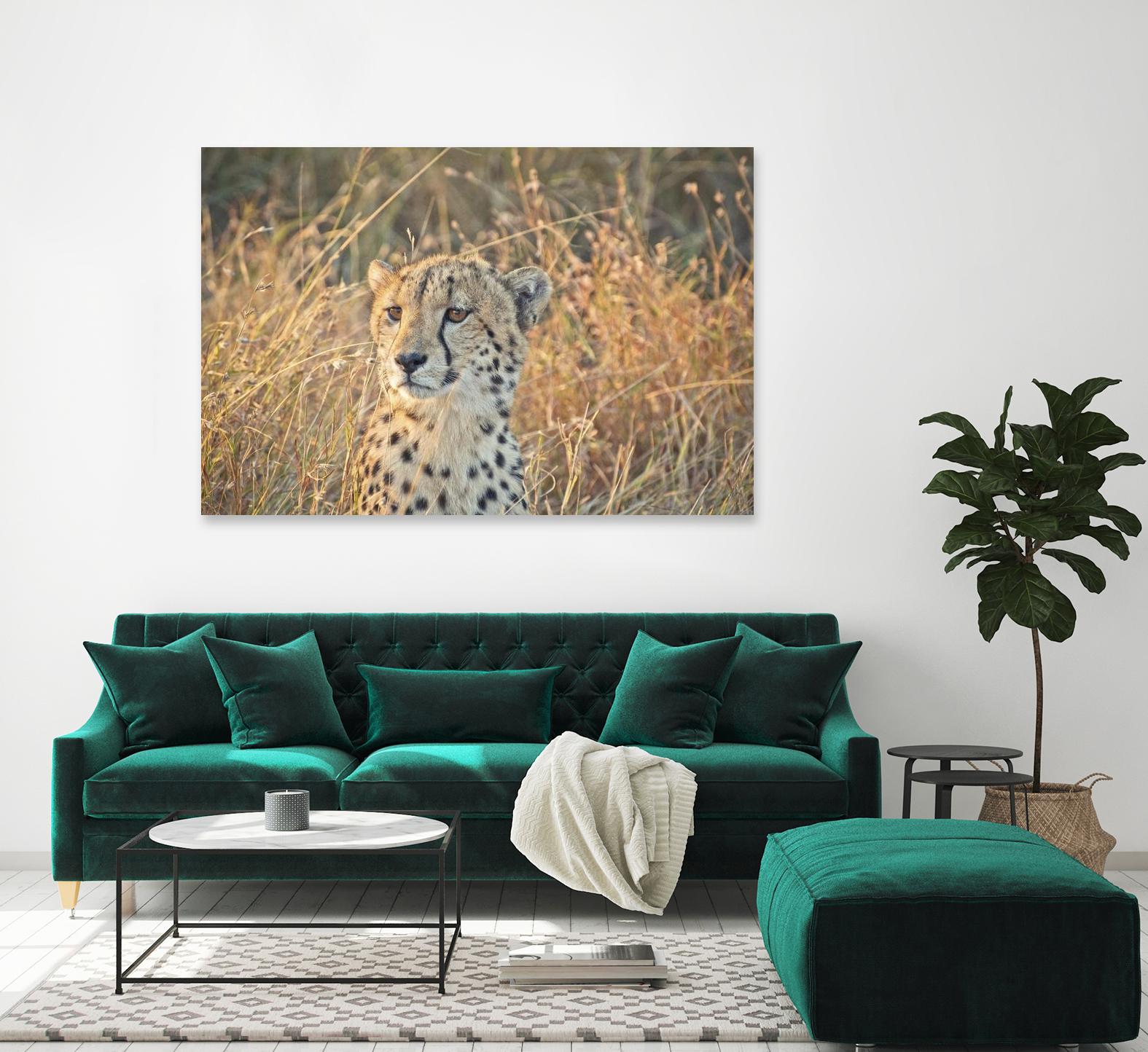 Watching her cubs by Nick Jackson on GIANT ART - black animals