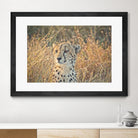 Watching her cubs by Nick Jackson on GIANT ART - black animals