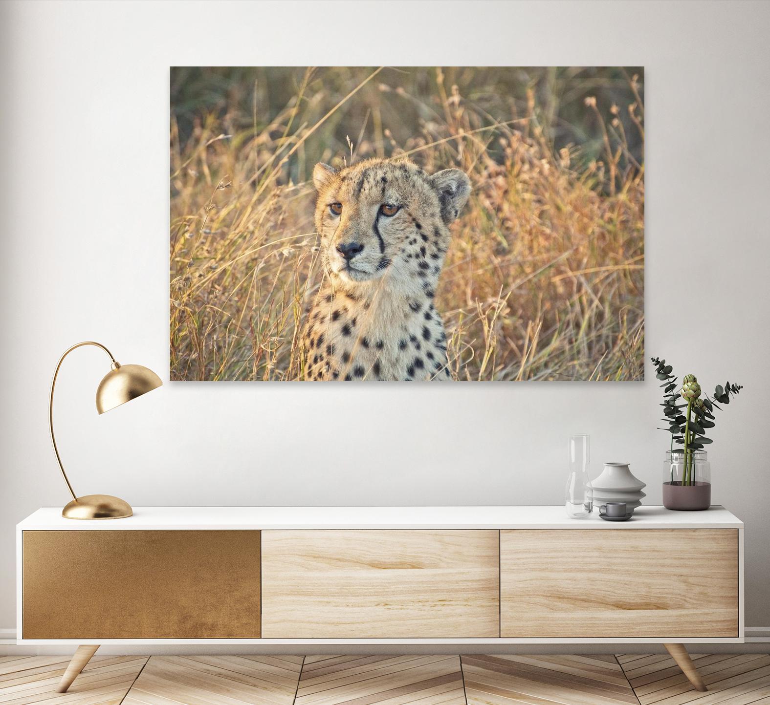 Watching her cubs by Nick Jackson on GIANT ART - black animals