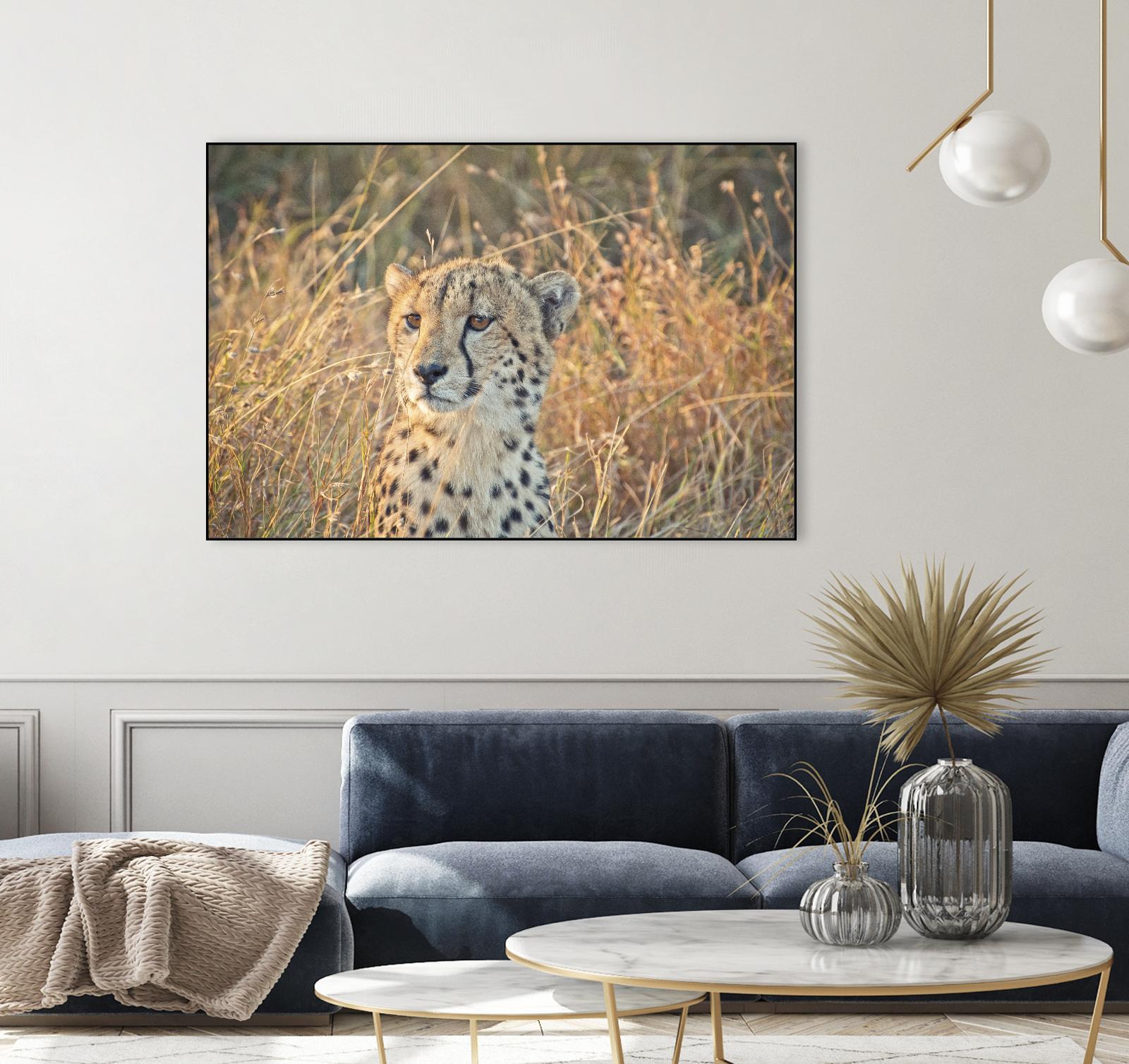 Watching her cubs by Nick Jackson on GIANT ART - black animals
