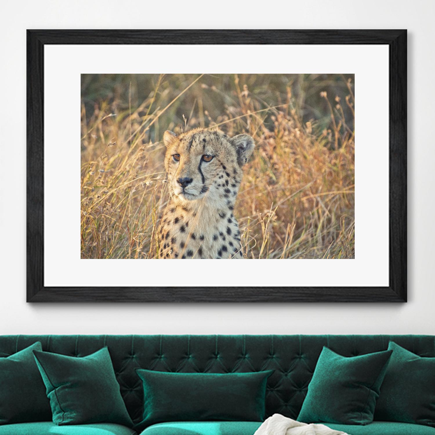 Watching her cubs by Nick Jackson on GIANT ART - black animals