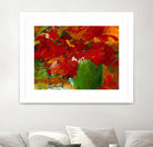 Amazona by Doris Savard on GIANT ART - red flowers contemporary