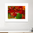 Amazona by Doris Savard on GIANT ART - red flowers contemporary