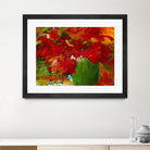 Amazona by Doris Savard on GIANT ART - red flowers contemporary