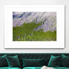 Landscape IV by Peter Morneau on GIANT ART - purple photo art