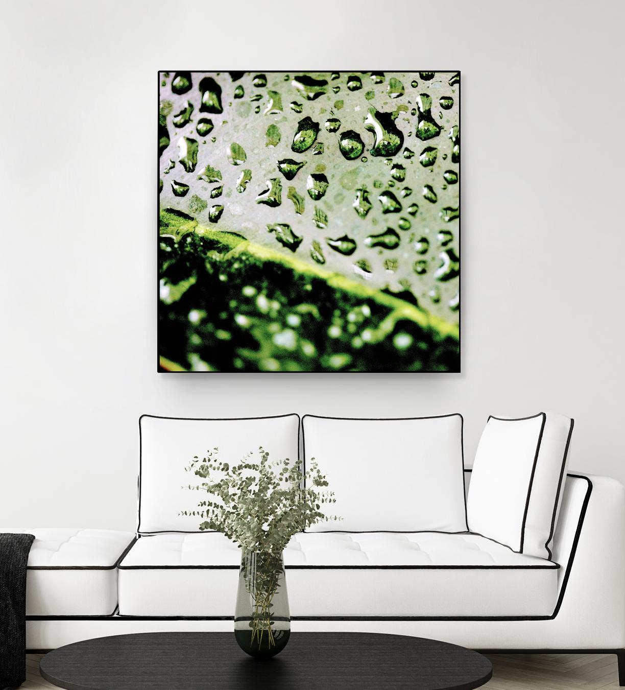 Leaf VI by Peter Morneau on GIANT ART - black photo art