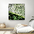 Leaf VI by Peter Morneau on GIANT ART - black photo art