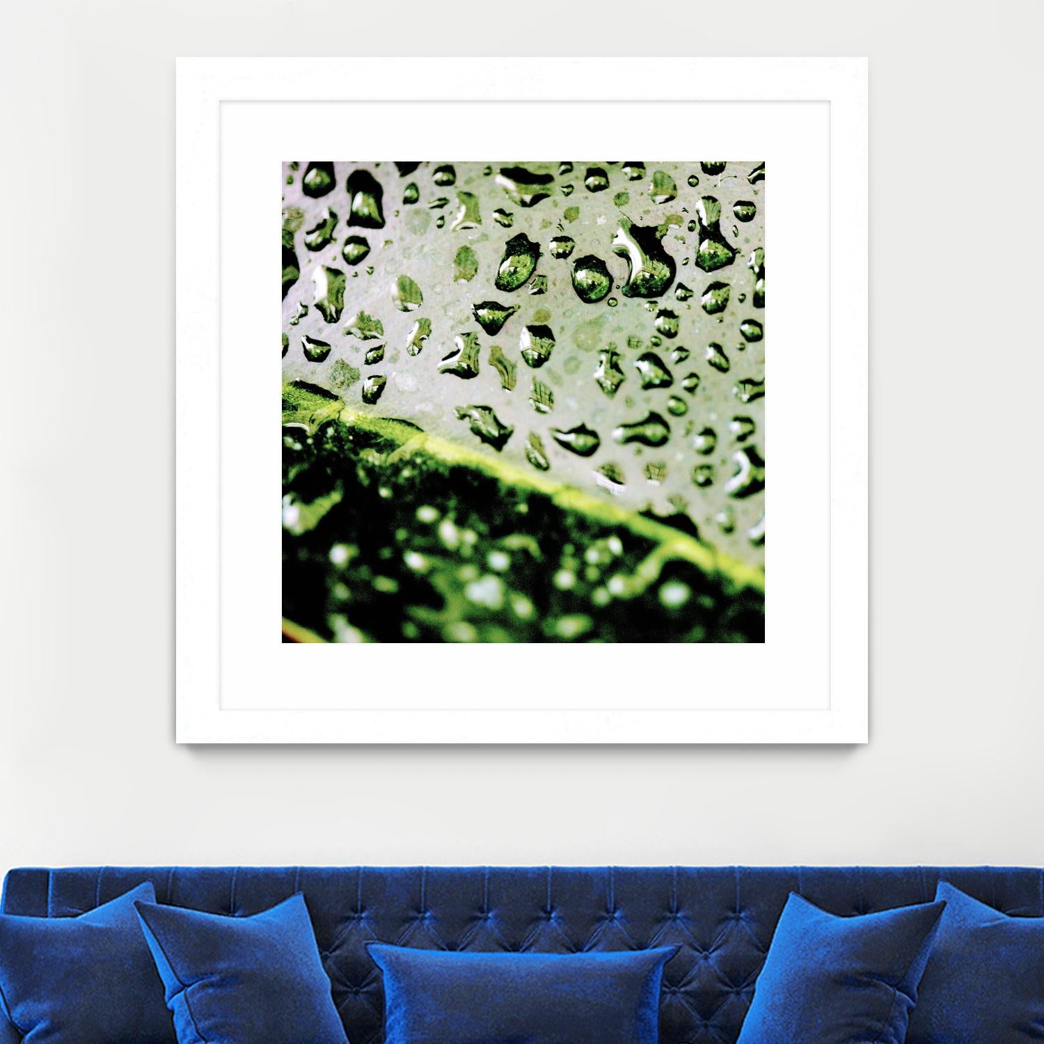 Leaf VI by Peter Morneau on GIANT ART - black photo art