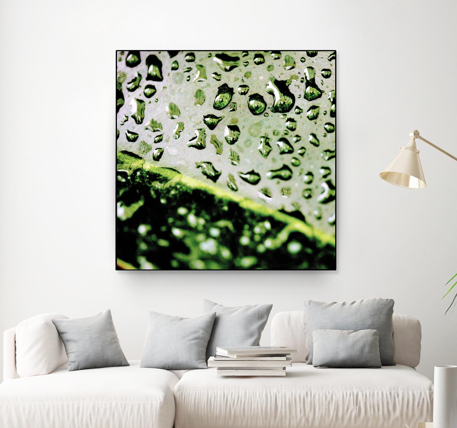 Leaf VI by Peter Morneau on GIANT ART - black photo art