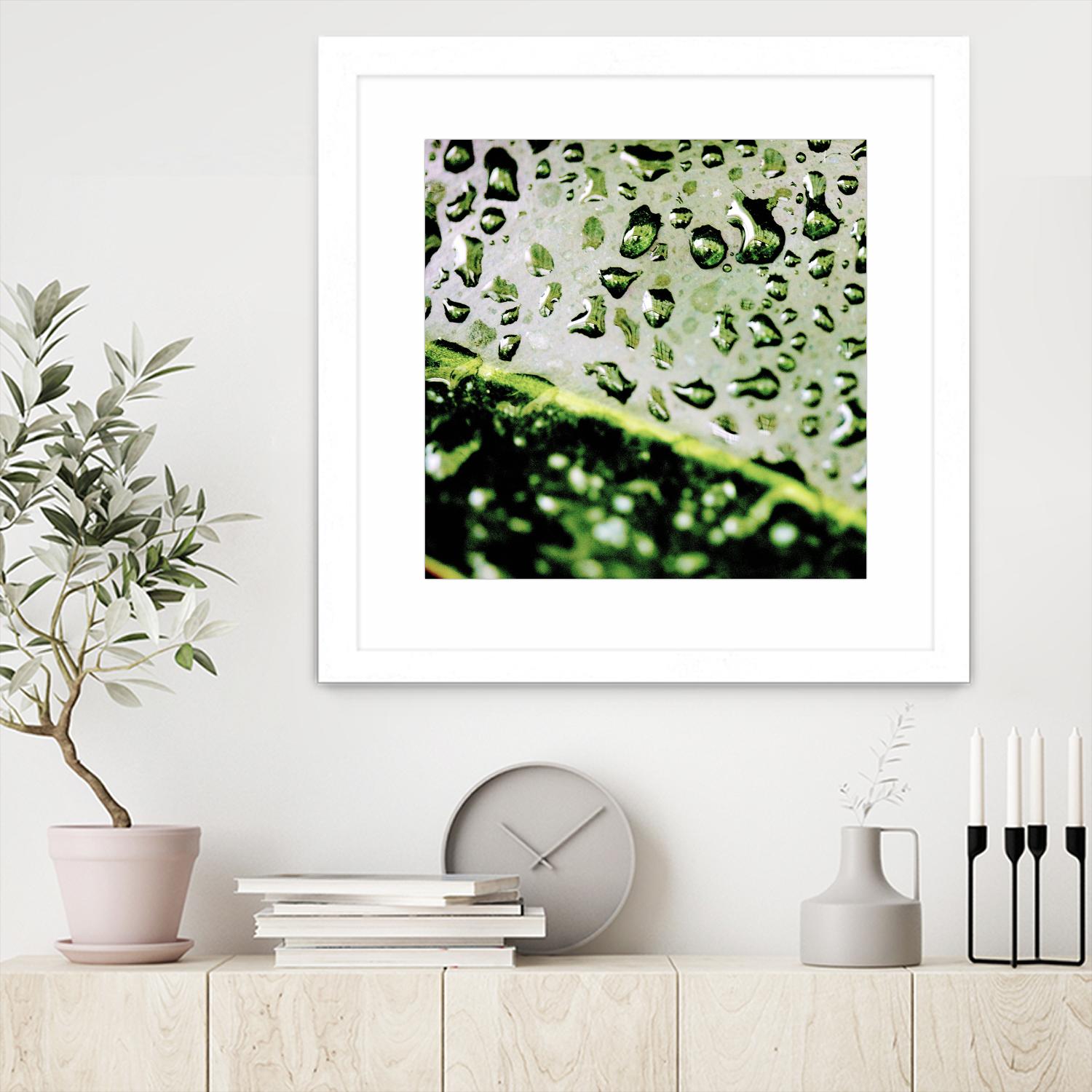 Leaf VI by Peter Morneau on GIANT ART - black photo art