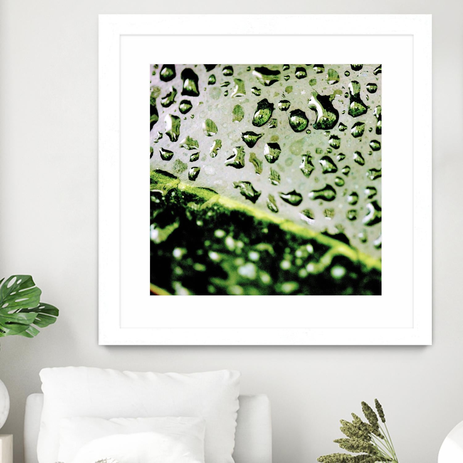 Leaf VI by Peter Morneau on GIANT ART - black photo art