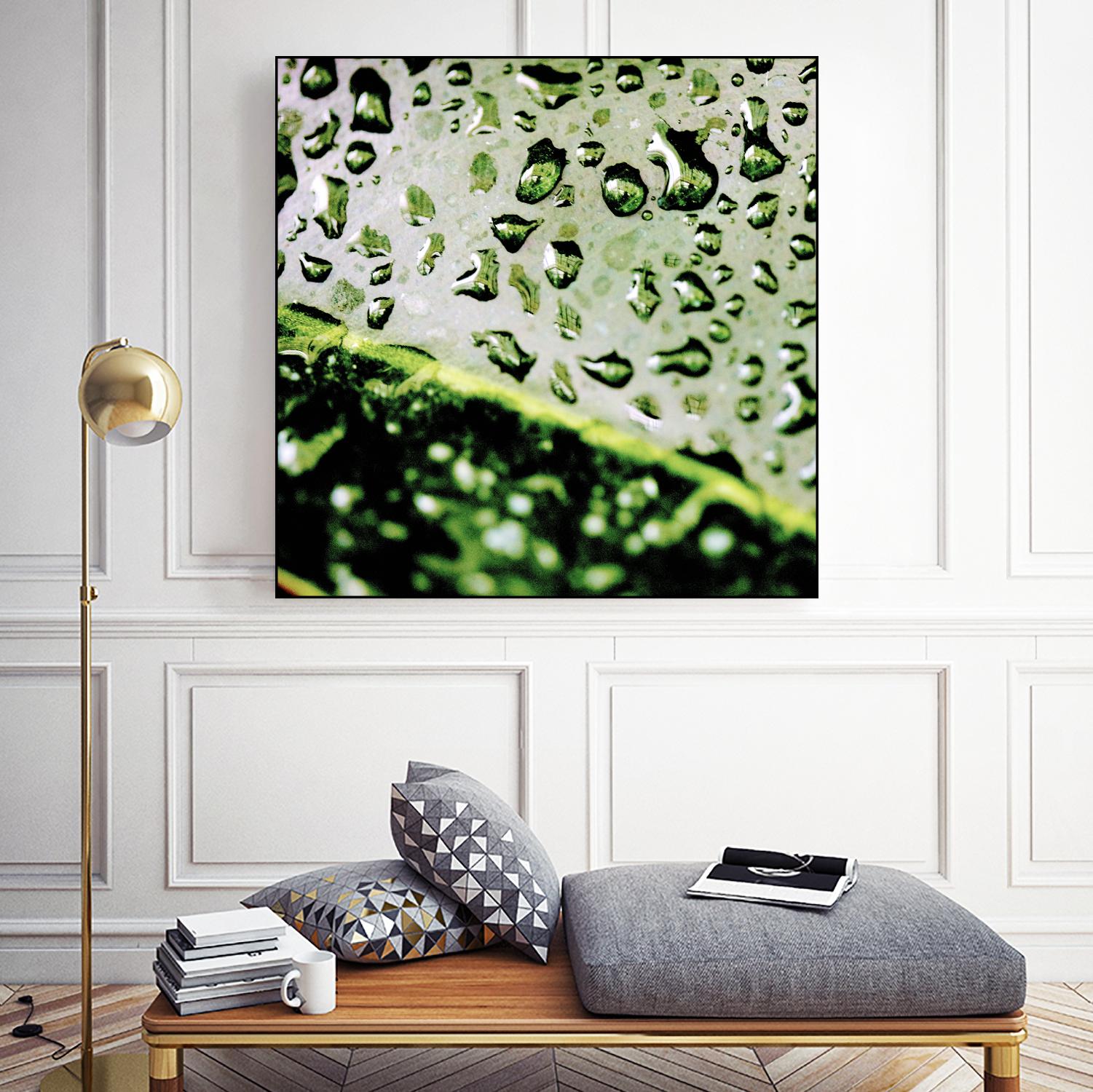 Leaf VI by Peter Morneau on GIANT ART - black photo art