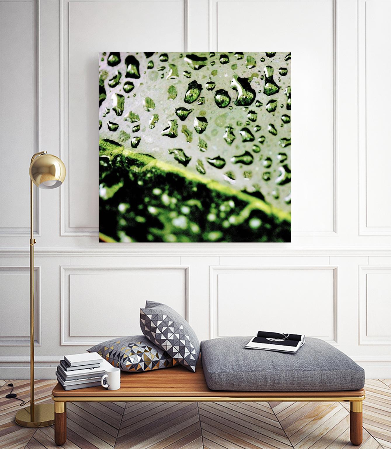 Leaf VI by Peter Morneau on GIANT ART - black photo art