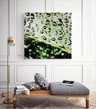 Leaf VI by Peter Morneau on GIANT ART - black photo art