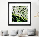 Leaf VI by Peter Morneau on GIANT ART - black photo art