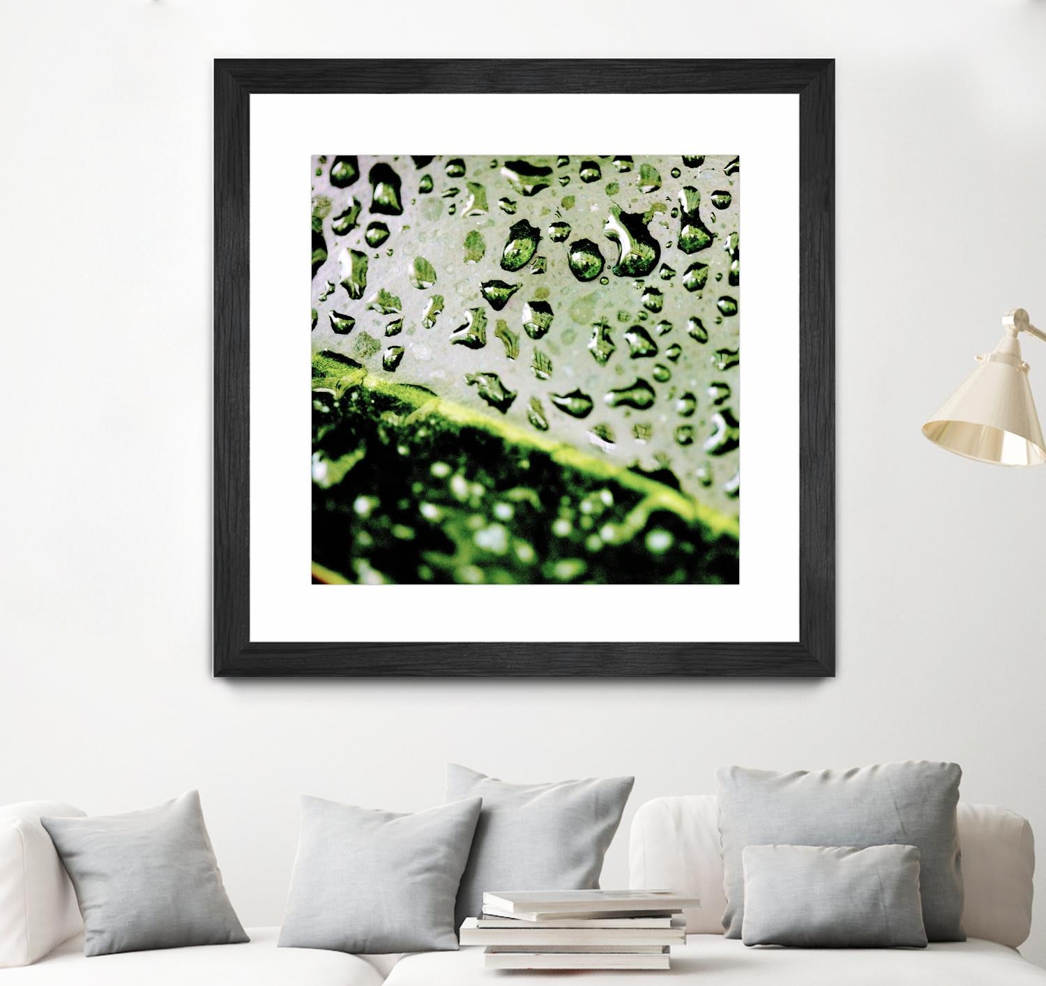 Leaf VI by Peter Morneau on GIANT ART - black photo art