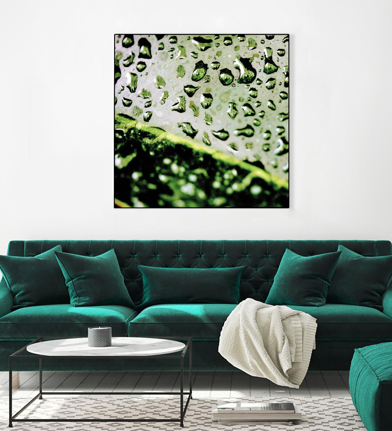 Leaf VI by Peter Morneau on GIANT ART - black photo art