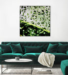 Leaf VI by Peter Morneau on GIANT ART - black photo art