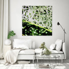 Leaf VI by Peter Morneau on GIANT ART - black photo art
