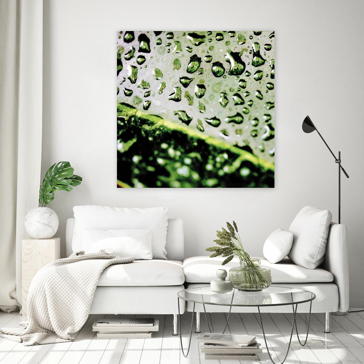Leaf VI by Peter Morneau on GIANT ART - black photo art