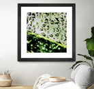 Leaf VI by Peter Morneau on GIANT ART - black photo art