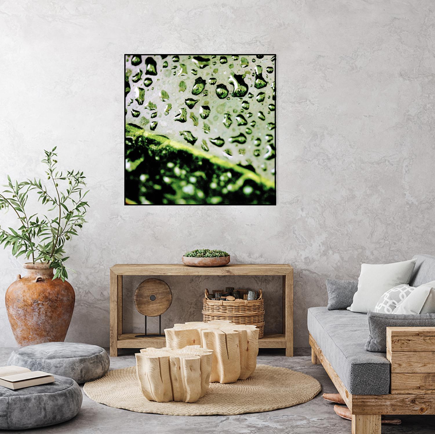 Leaf VI by Peter Morneau on GIANT ART - black photo art