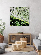 Leaf VI by Peter Morneau on GIANT ART - black photo art