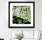 Leaf VI by Peter Morneau on GIANT ART - black photo art