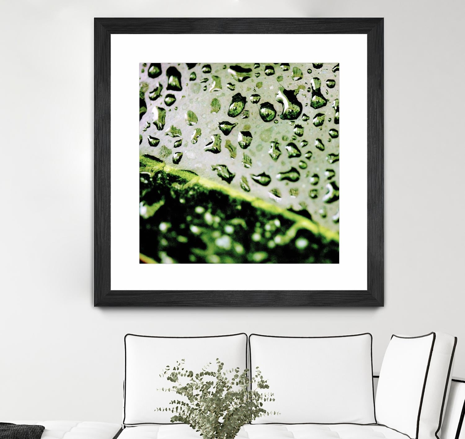 Leaf VI by Peter Morneau on GIANT ART - black photo art