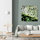 Leaf VI by Peter Morneau on GIANT ART - black photo art