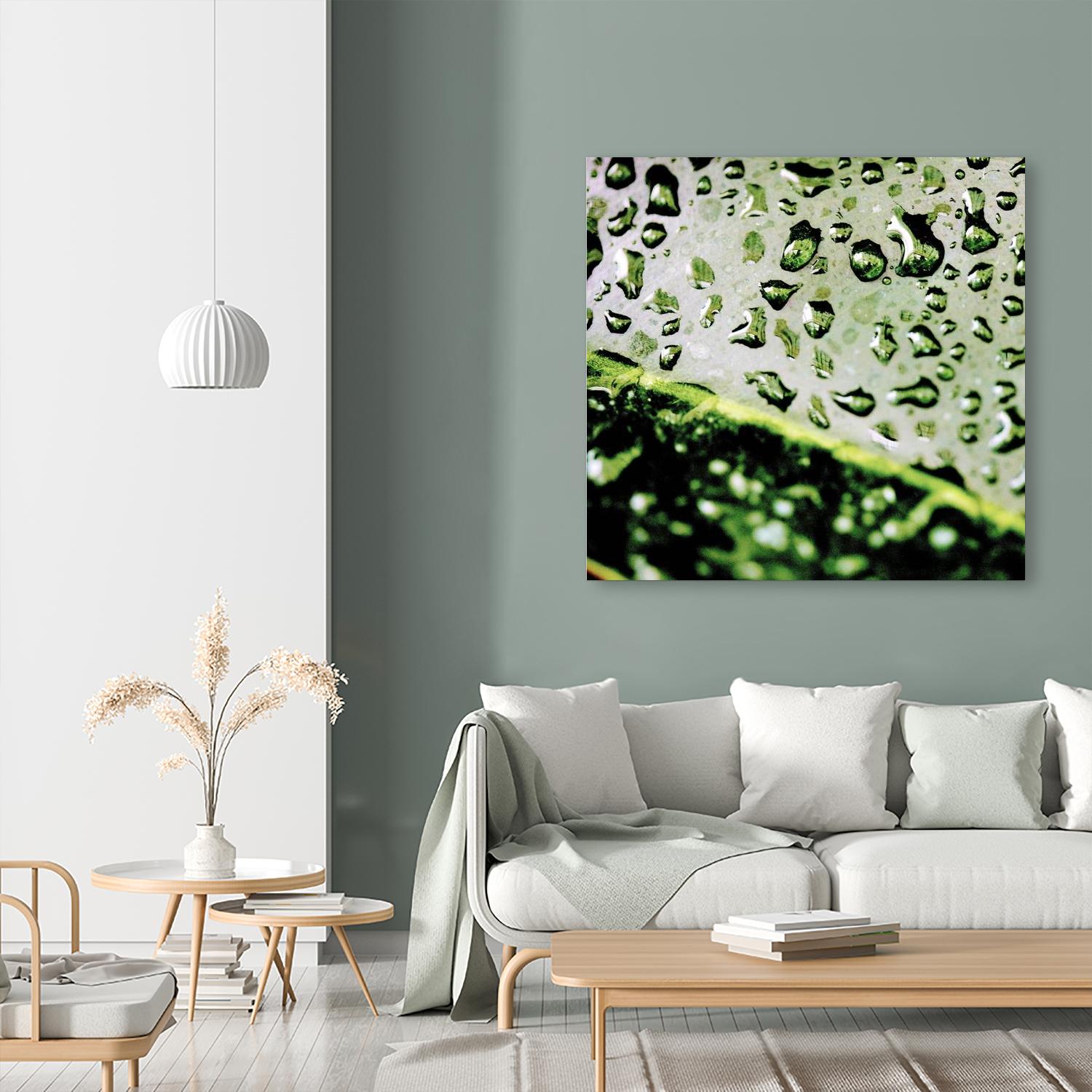 Leaf VI by Peter Morneau on GIANT ART - black photo art