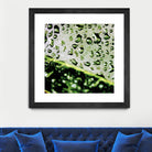 Leaf VI by Peter Morneau on GIANT ART - black photo art