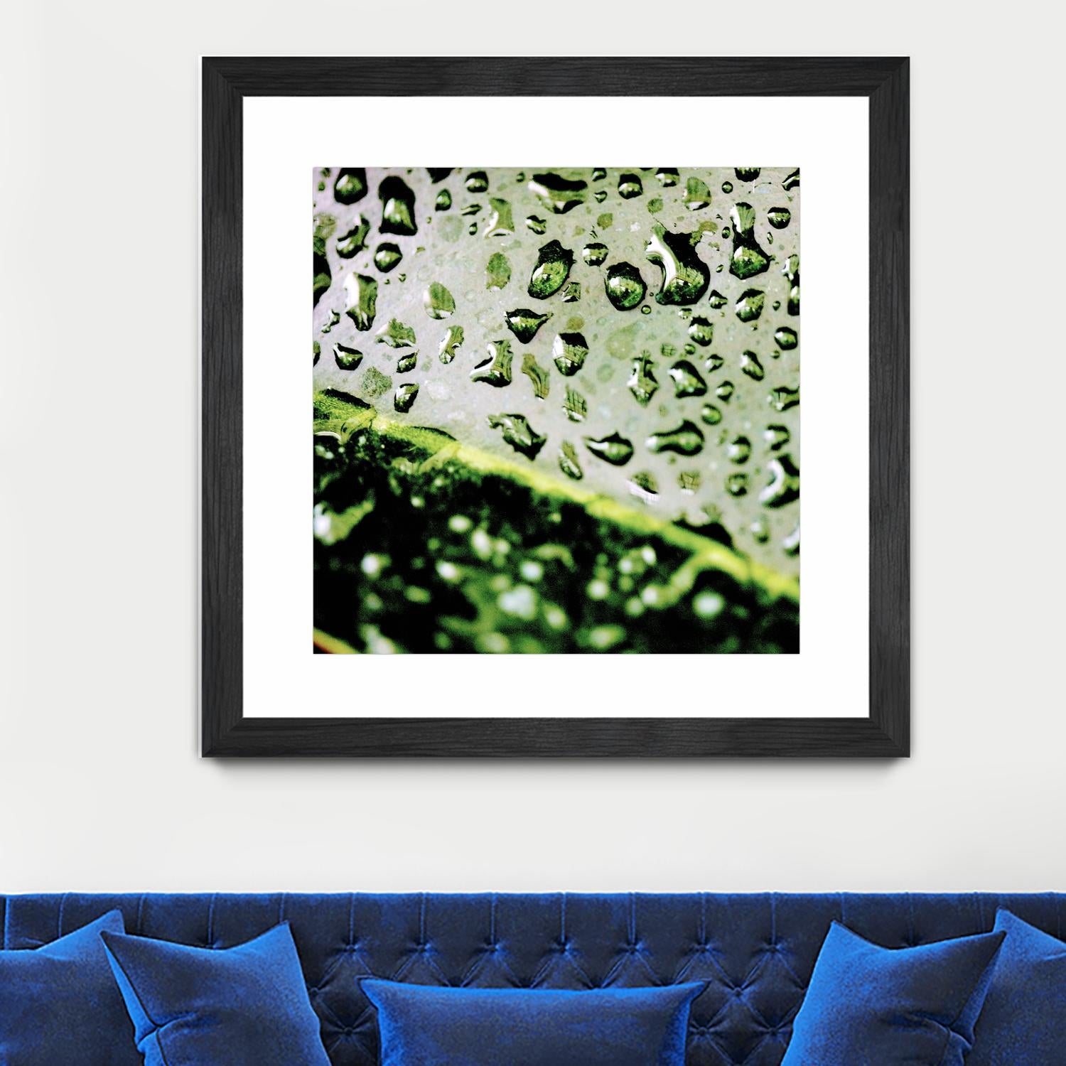 Leaf VI by Peter Morneau on GIANT ART - black photo art