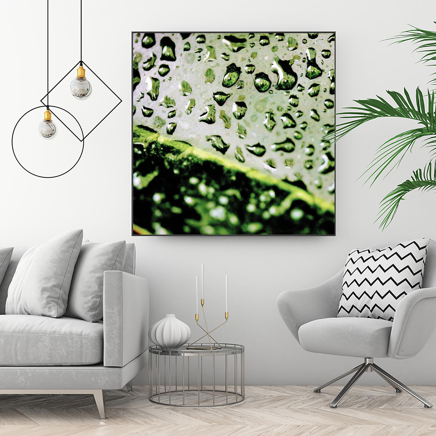 Leaf VI by Peter Morneau on GIANT ART - black photo art