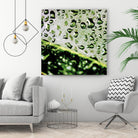 Leaf VI by Peter Morneau on GIANT ART - black photo art