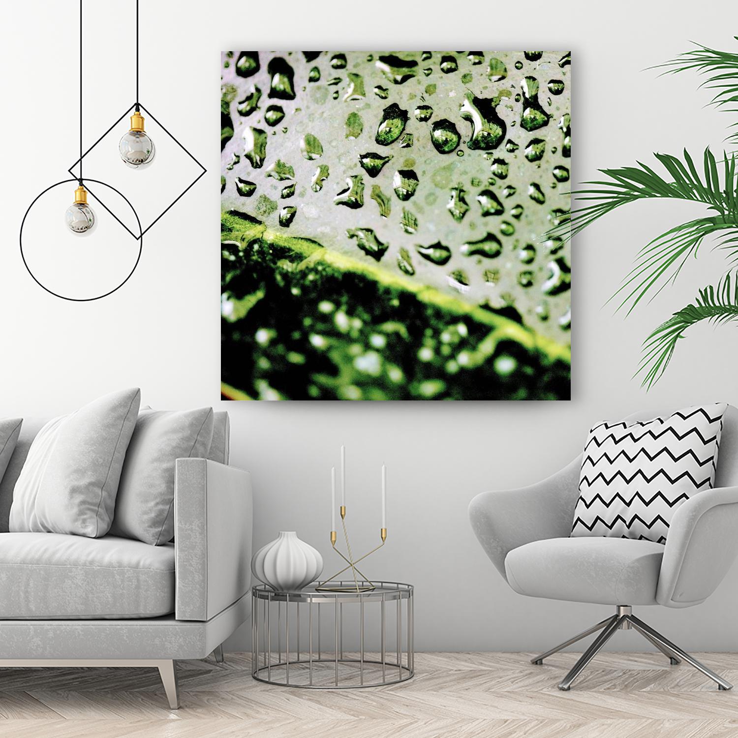 Leaf VI by Peter Morneau on GIANT ART - black photo art