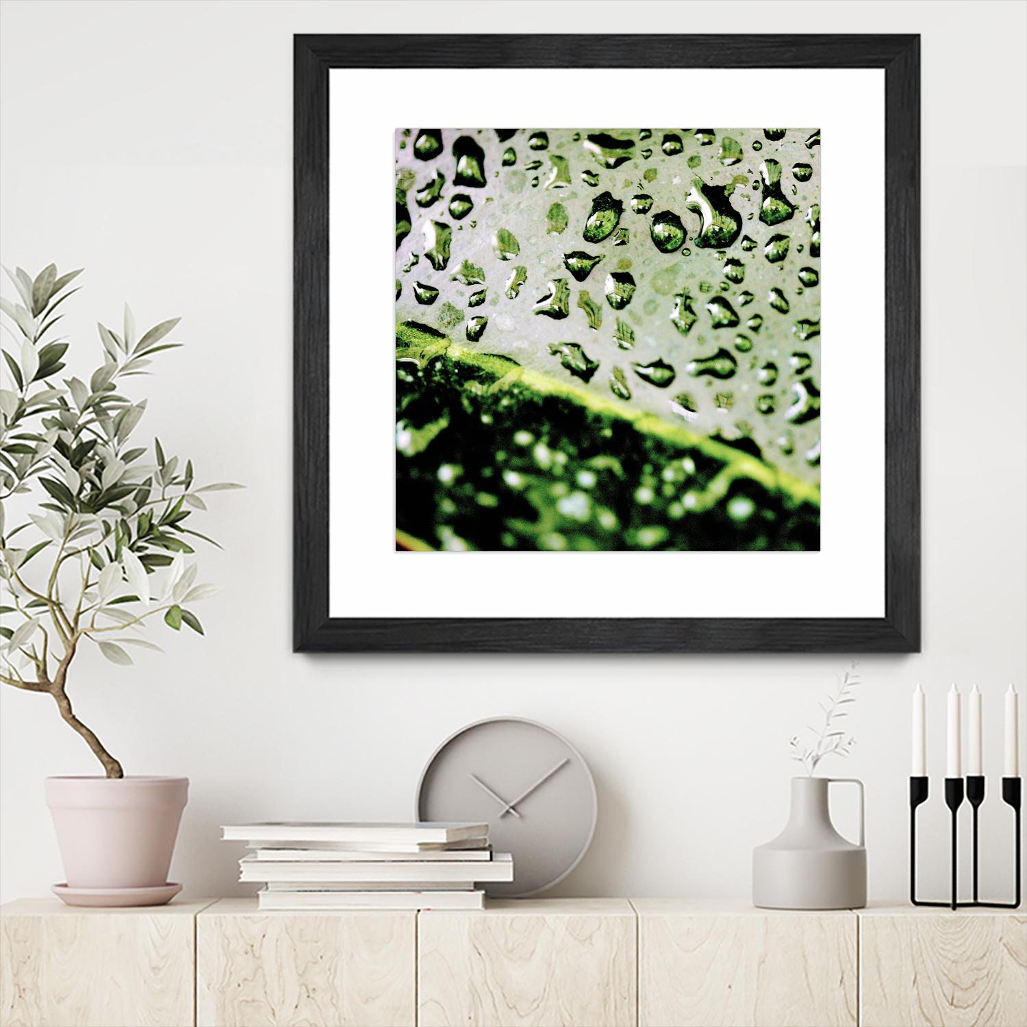 Leaf VI by Peter Morneau on GIANT ART - black photo art